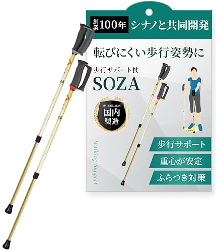 Amazon.co.jp: 超軽量チャップリンカーボンステッキ（杖） オレンジ